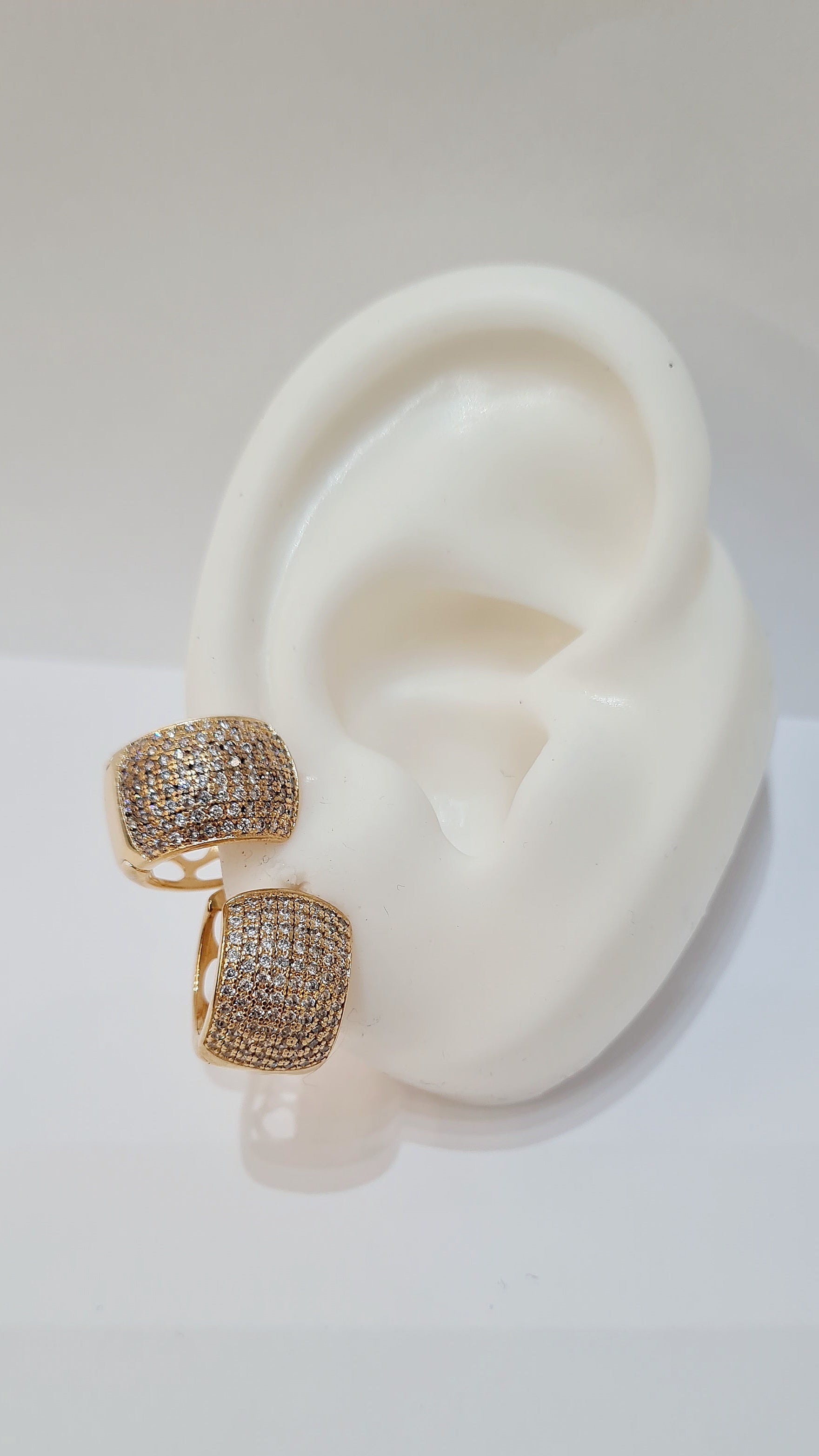 Brinco Argola Cravejada