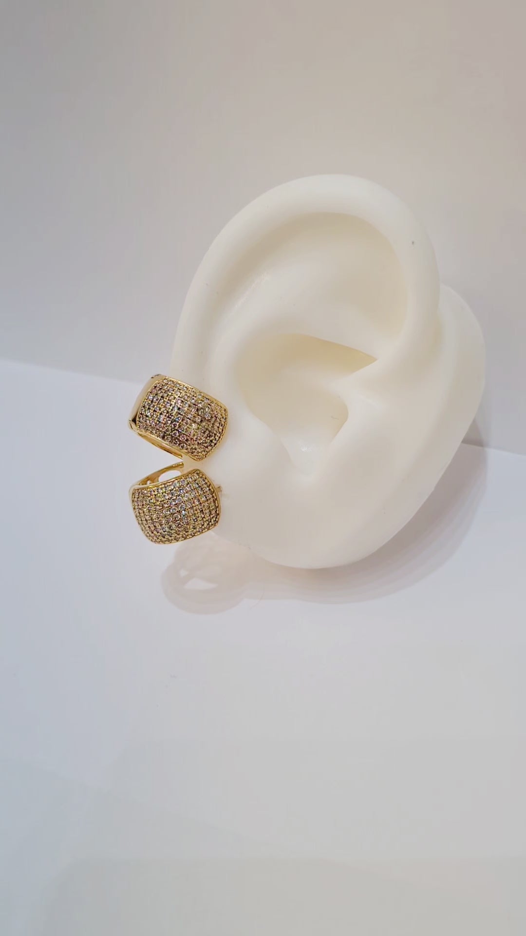 Brinco Argola Cravejada