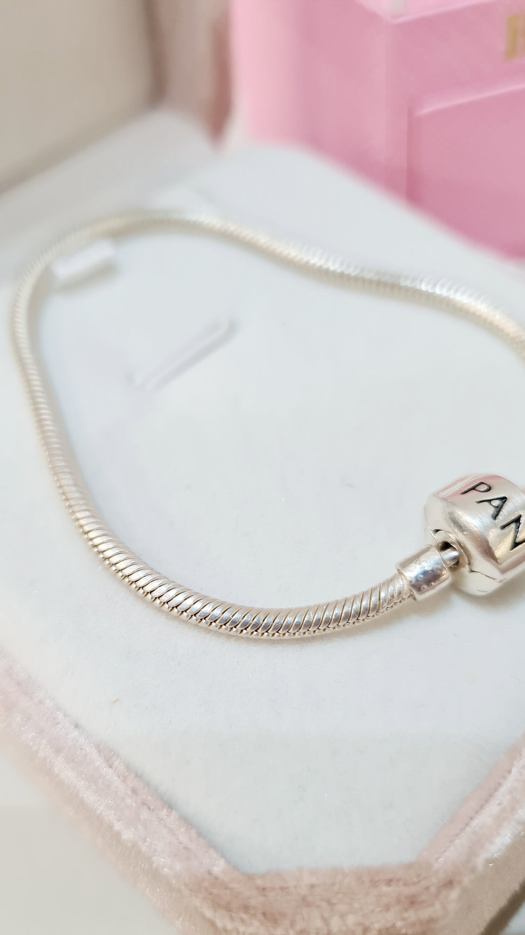 Pulseira em Prata 925 – Estilo Pandora Clássica