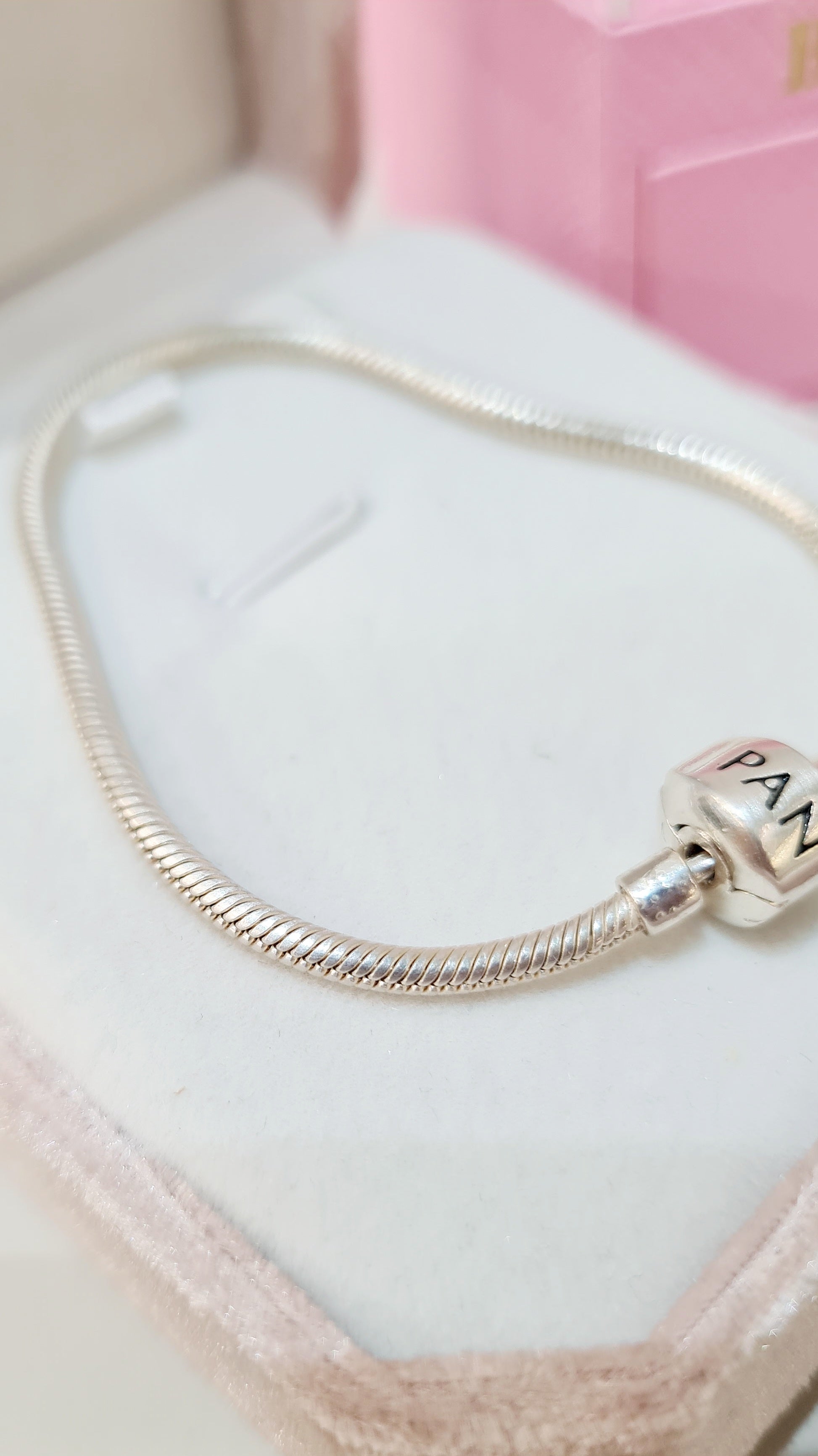 Pulseira em Prata 925 – Estilo Pandora Clássica