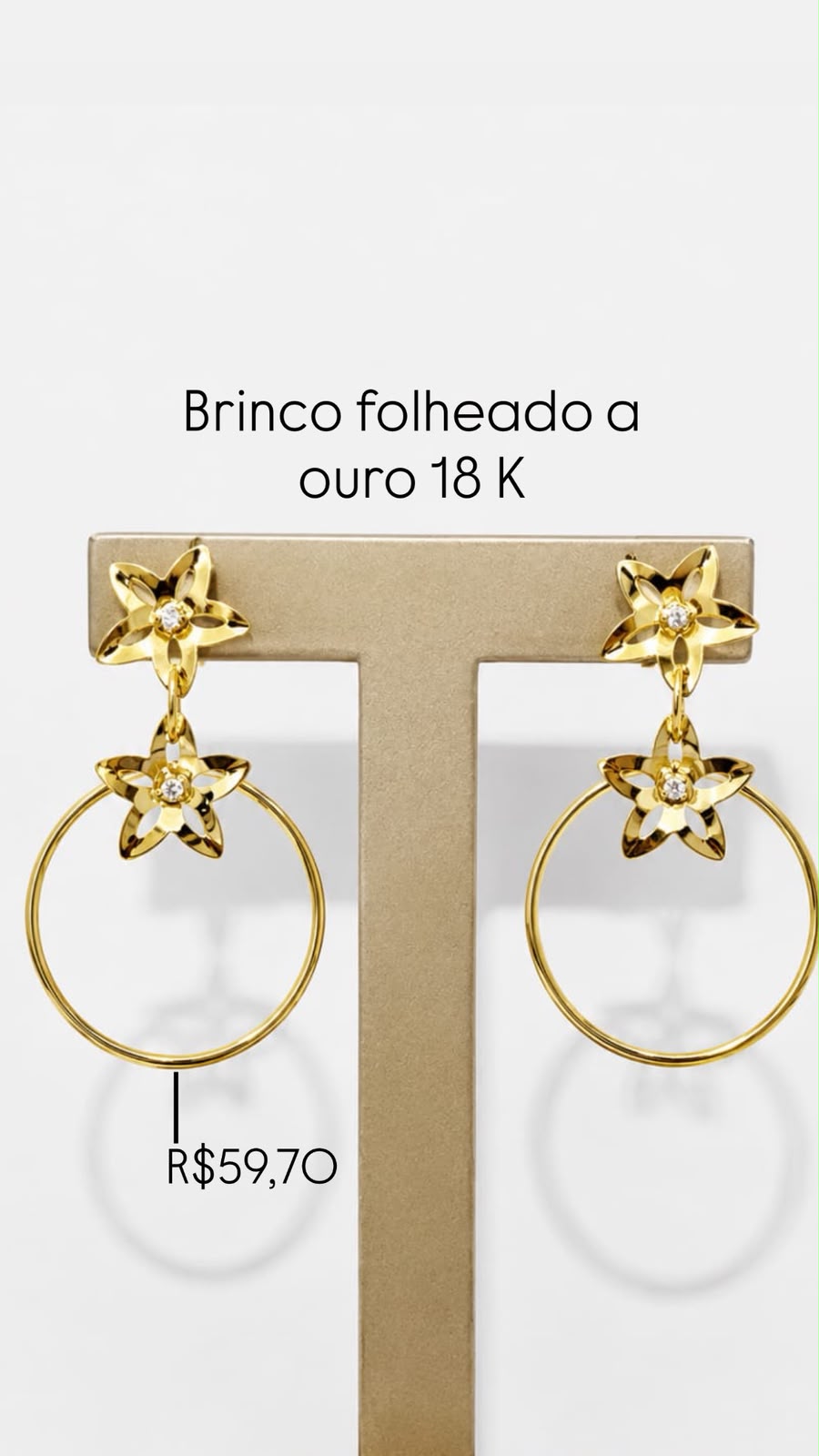 Brinco Circulo Flor Folheado